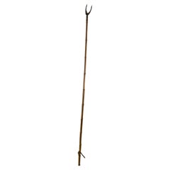 Rare 19th Century Bamboo Library Long Arm, Book Grabber