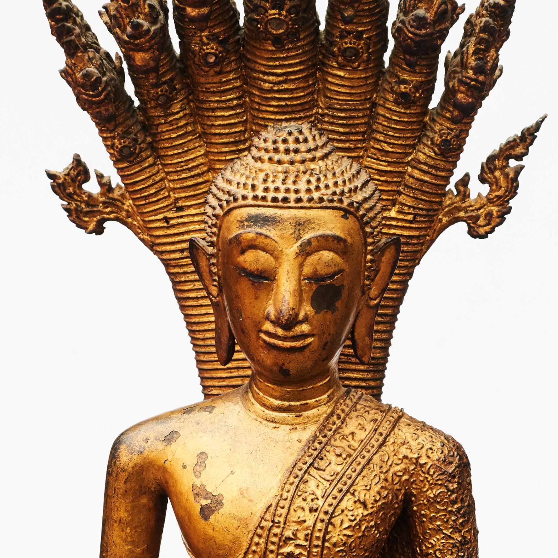 Rare bronze Buddha depicted in meditation pose sheltered by a Naga (a seven-headed snake).
Naga's body coiled up to serve as a cushion for the Buddha with 7 pronged head providing a hood over the Buddha's head as a cover.

Original condition,
