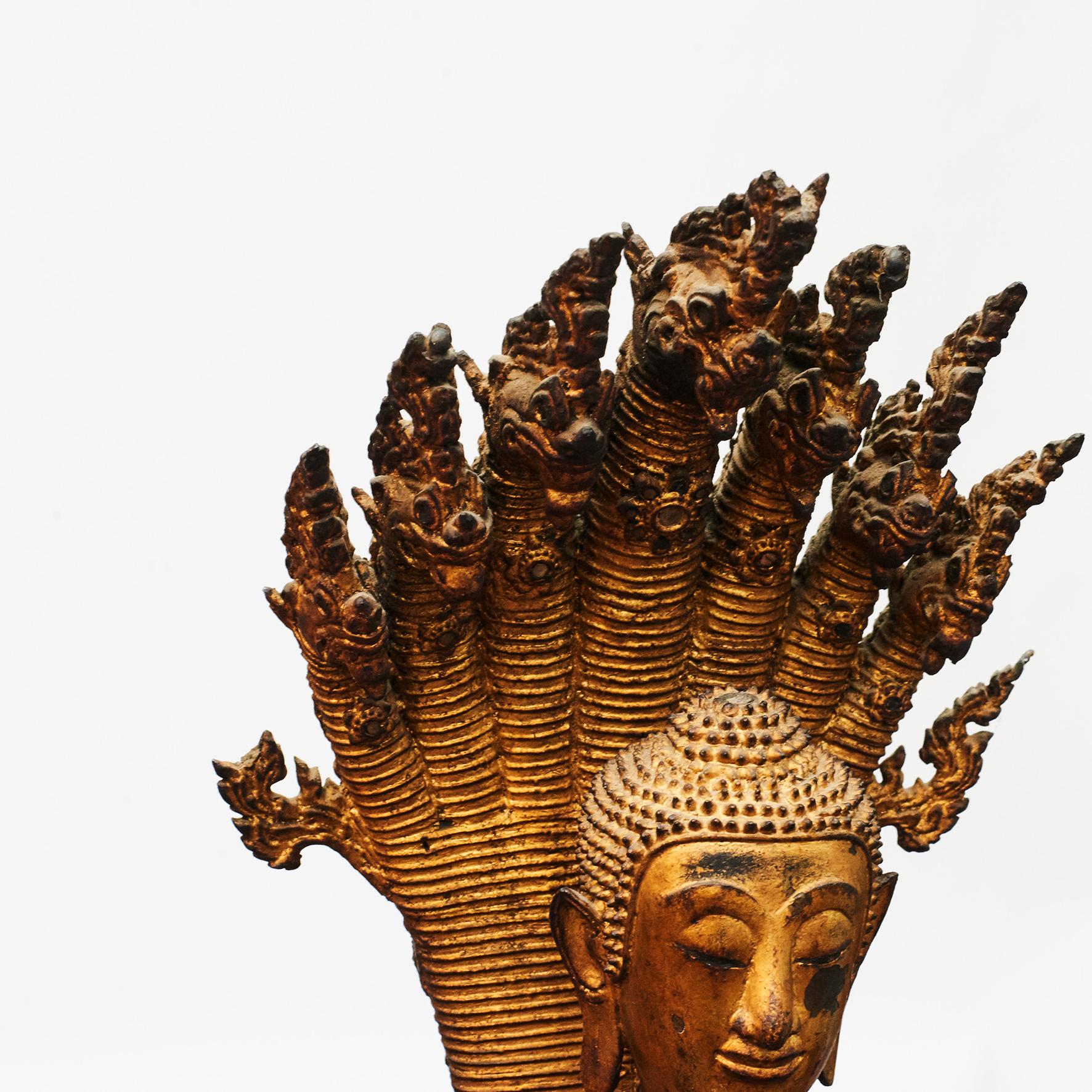 buddha with naga