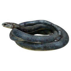 Rare 19th Century French Majolica Palissy Coiled Snake