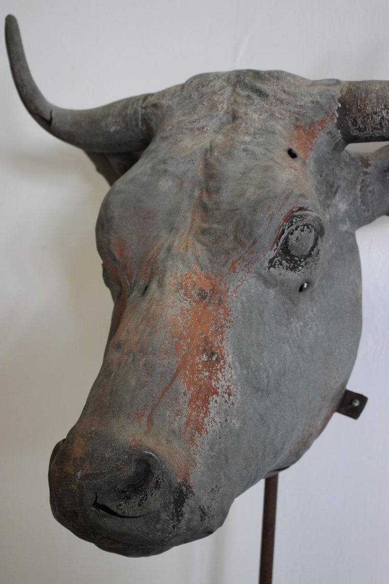 Rare 19th Century French Zin Bulls Head For Sale at 1stdibs