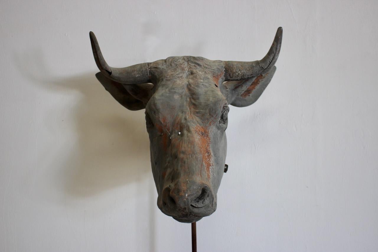 Rare 19th Century French Zin Bulls Head In Excellent Condition In Gloucestershire, GB