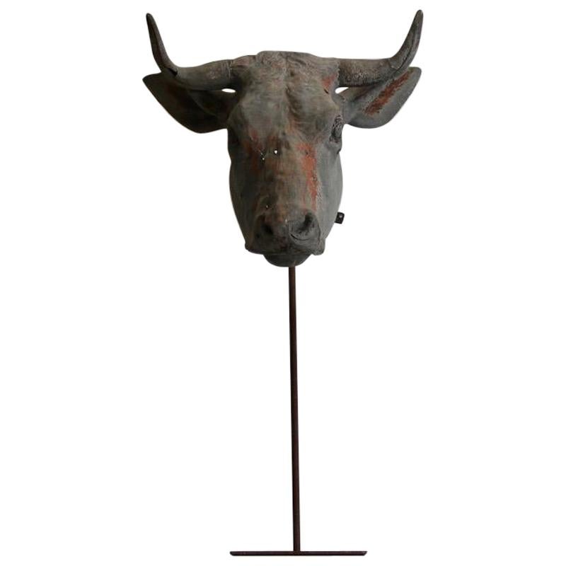 Rare 19th Century French Zin Bulls Head