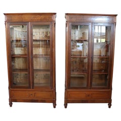Rare 19th Century Italian Walnut Pair of Antique Bookcases or Vitrines RESTORED