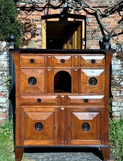 Rare 19th-Century Satinwood Rosewood Ebony Colonial Chest