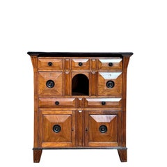 Rare 19th-Century Satinwood Rosewood Ebony Colonial Chest