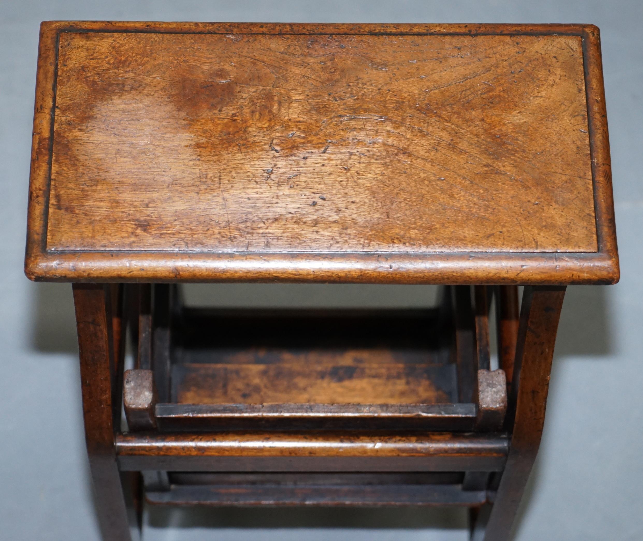 Hand-Carved Rare 19th Century Solid Elm Metamorphic Library Steps into a Stool Stunning Find