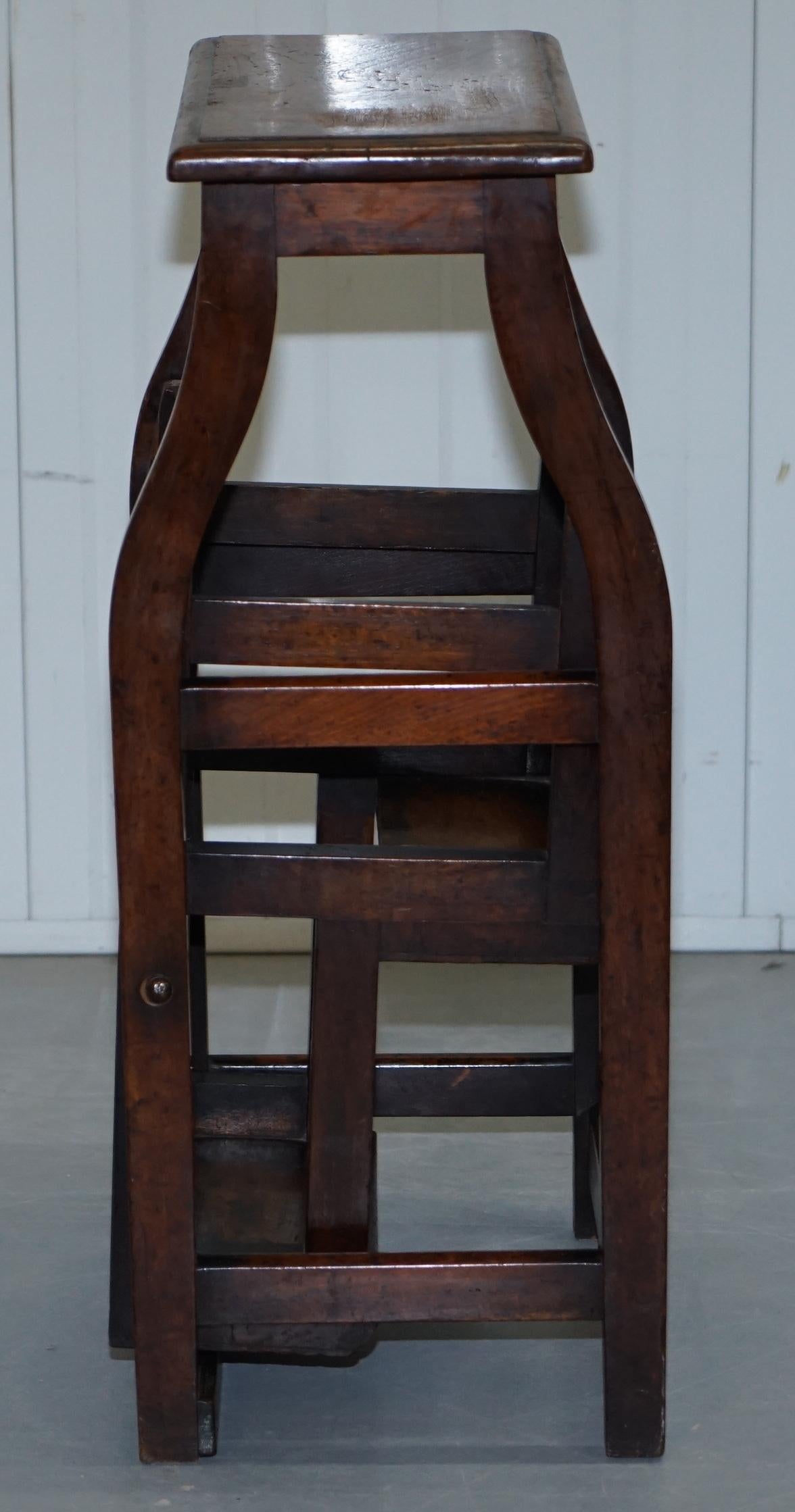 Rare 19th Century Solid Elm Metamorphic Library Steps into a Stool Stunning Find 1