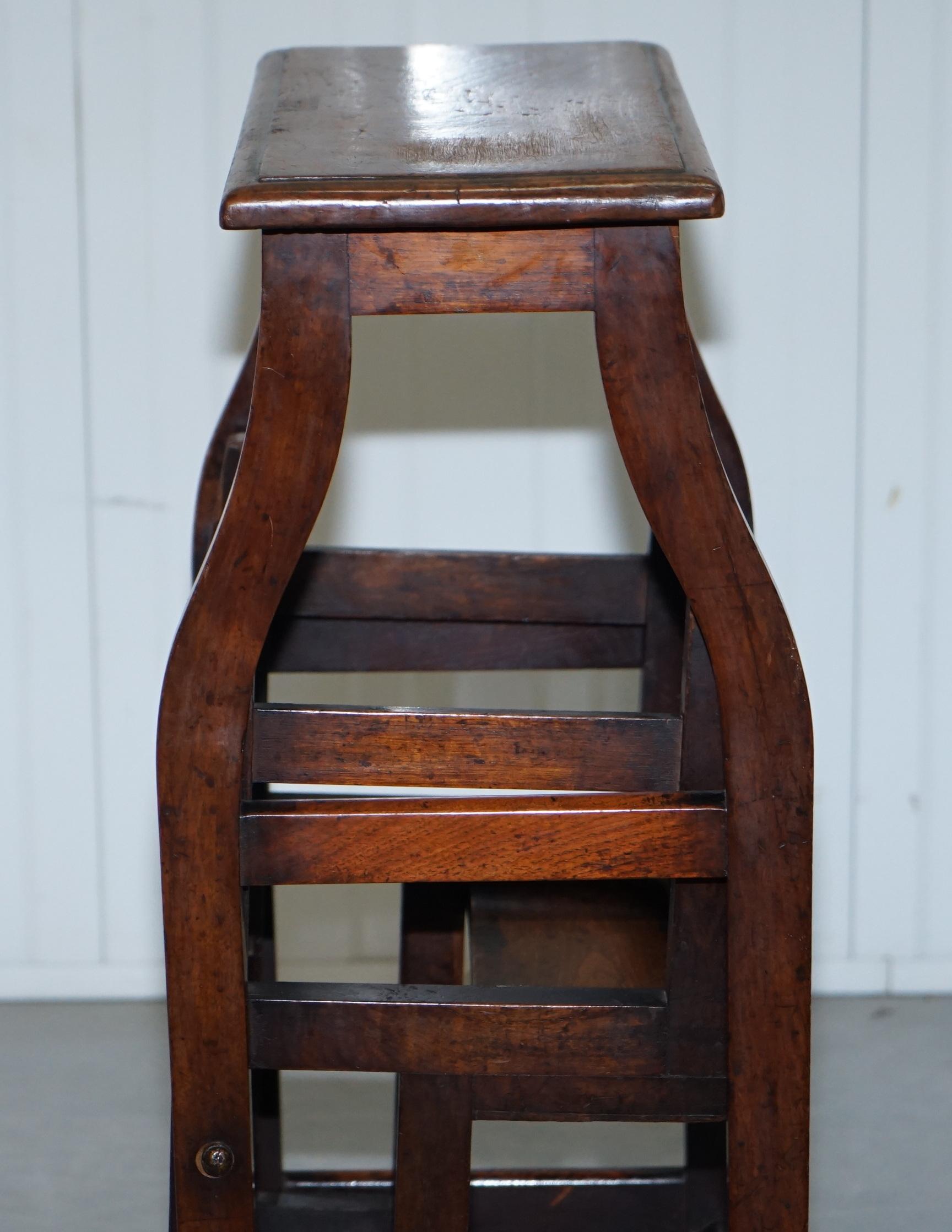 Rare 19th Century Solid Elm Metamorphic Library Steps into a Stool Stunning Find 3