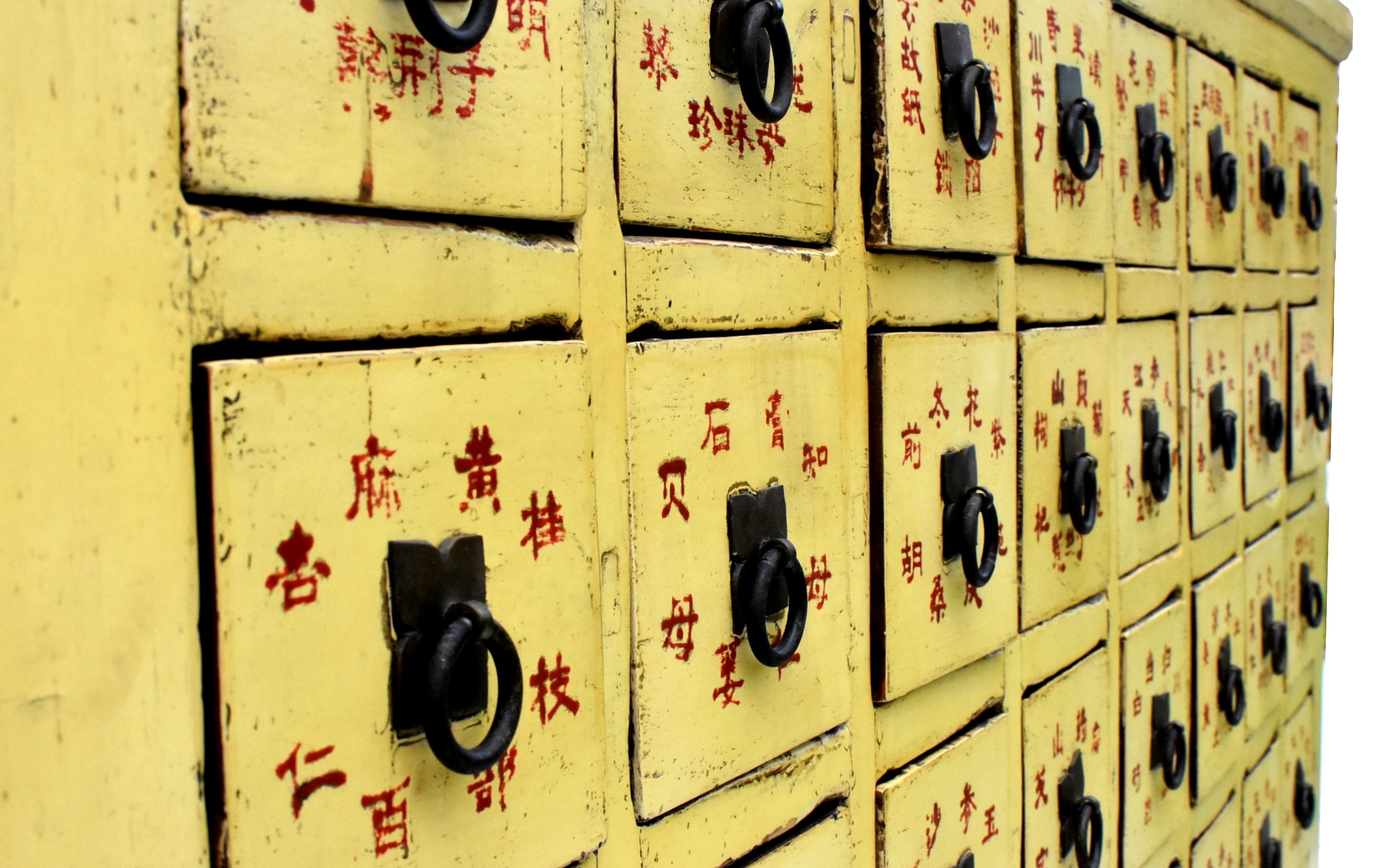 Rare 19th Century Yellow Chinese Apothecary Cabinet 67 Sectioned Drawers For Sale 5