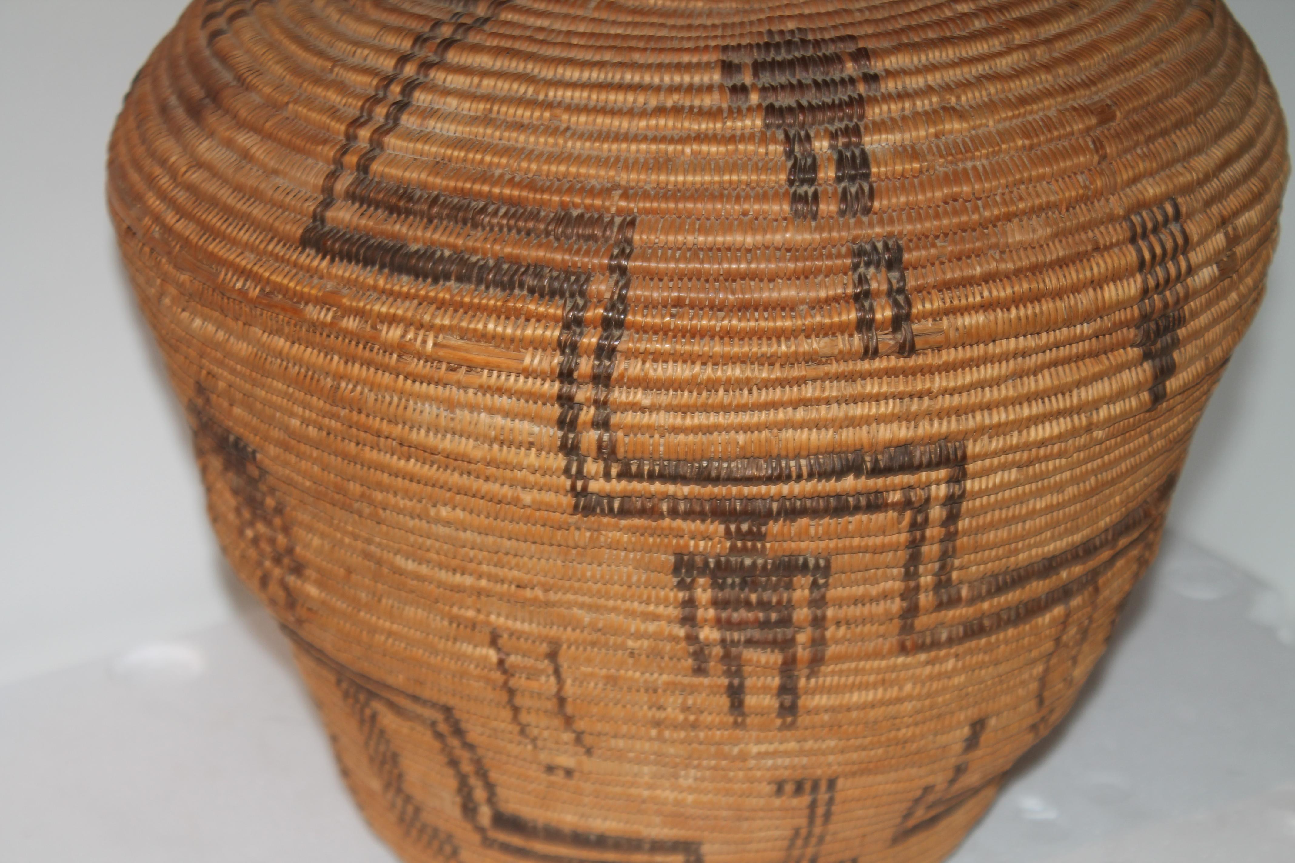 American Rare 19th C Apache Indian Pictorial Basket Olla
