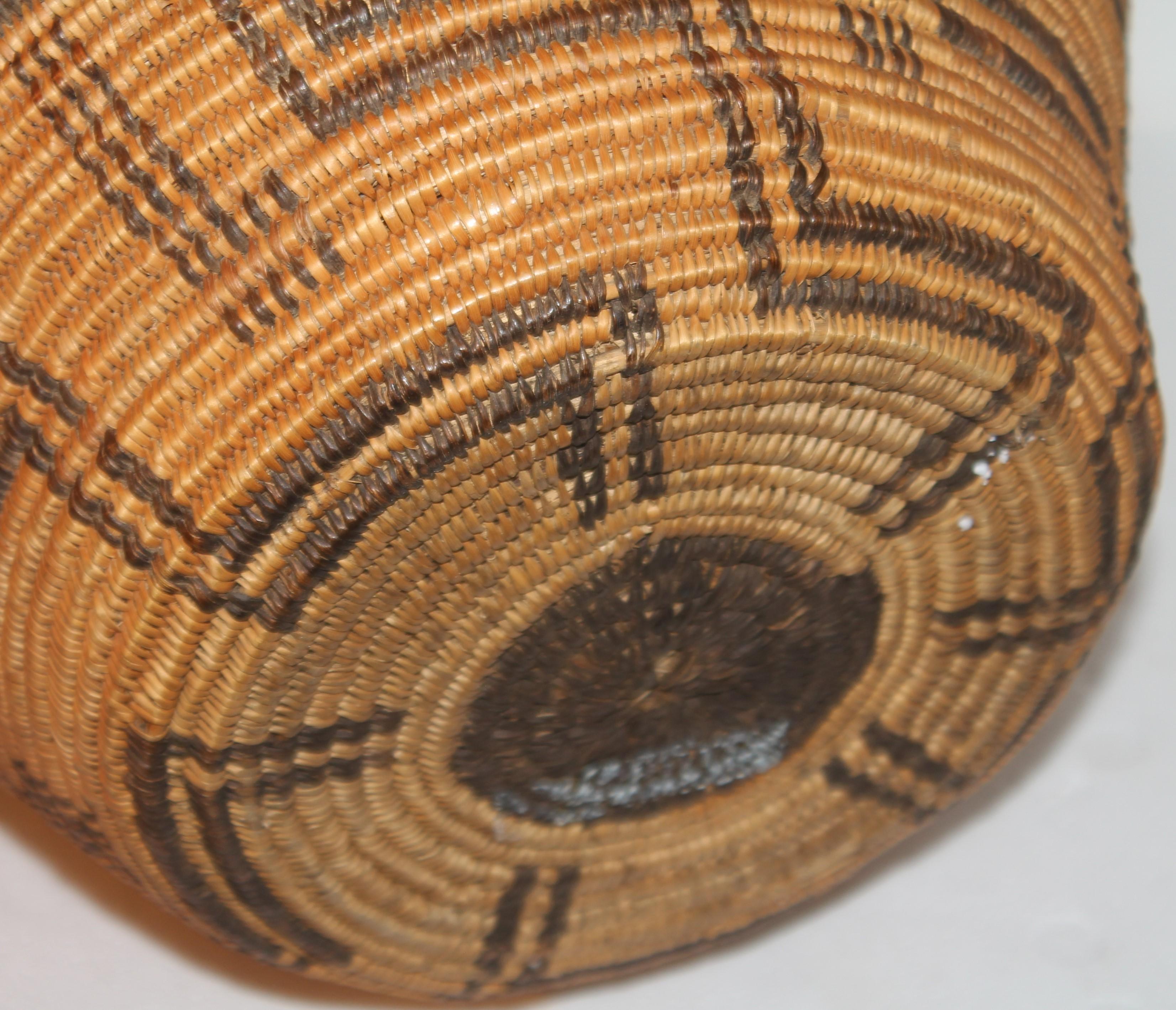 Rare 19th C Apache Indian Pictorial Basket Olla In Good Condition In Los Angeles, CA