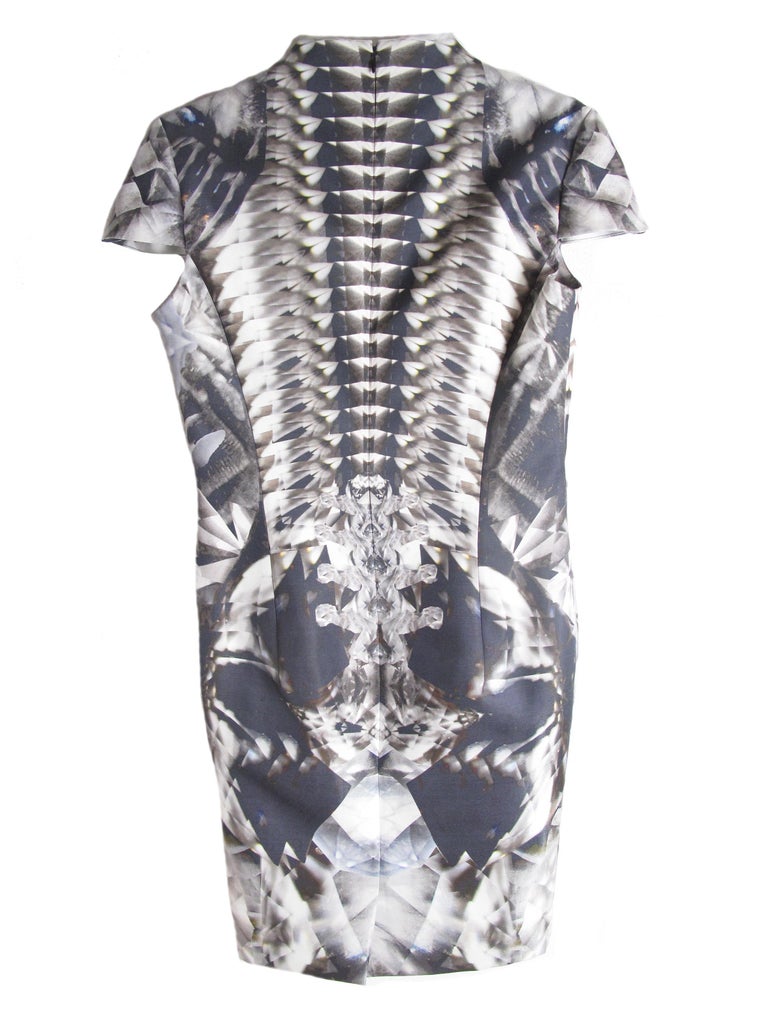 Rare 2009 Alexander McQueen Crystal Skeleton Dress For Sale at 1stDibs ...