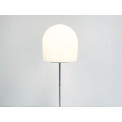 Rare A251 Floor Lamp by Aldo van den Nieuwelaar