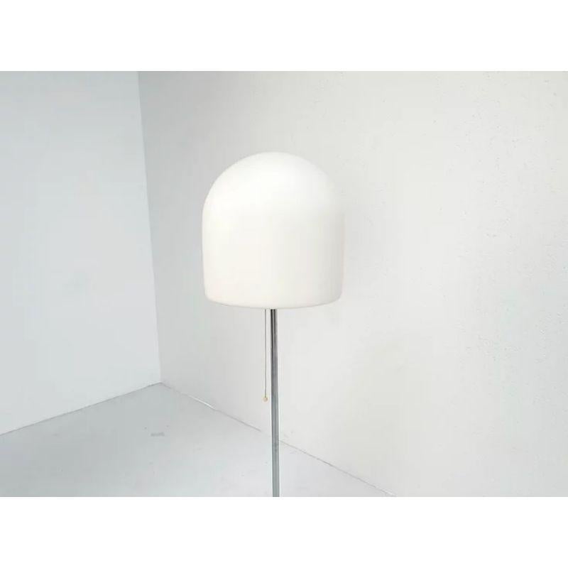 Rare A251 Floor Lamp by Aldo van den Nieuwelaar In Good Condition For Sale In Nijlen, VAN