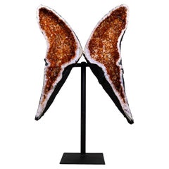 Rare géode papillon en citrine AAA avec druzy orange madère profond