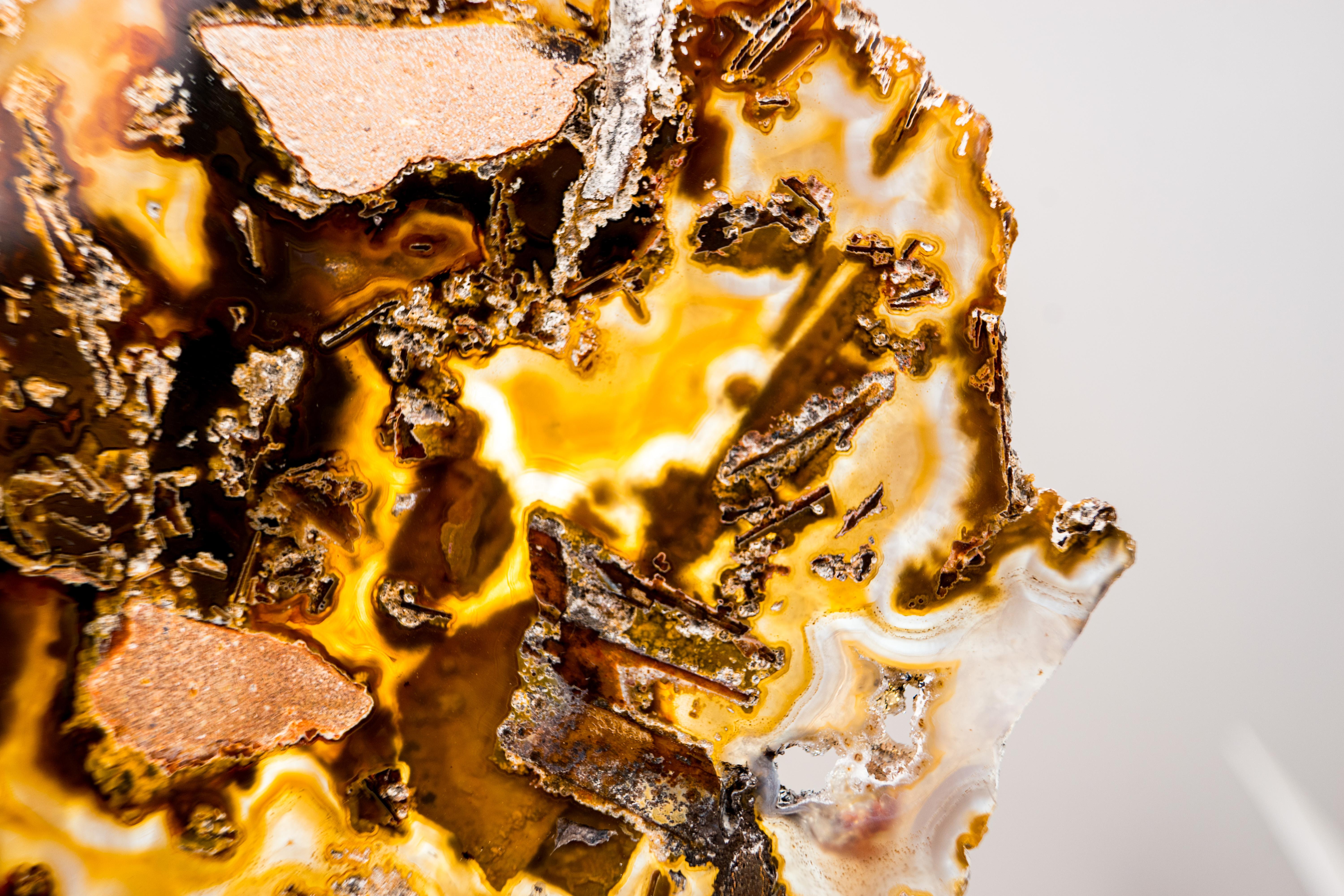 Rare Abstract Agate Slice - All-Natural Yellow, White and Black (Agate abstraite jaune, blanche et noire) Neuf - En vente à Ametista Do Sul, BR