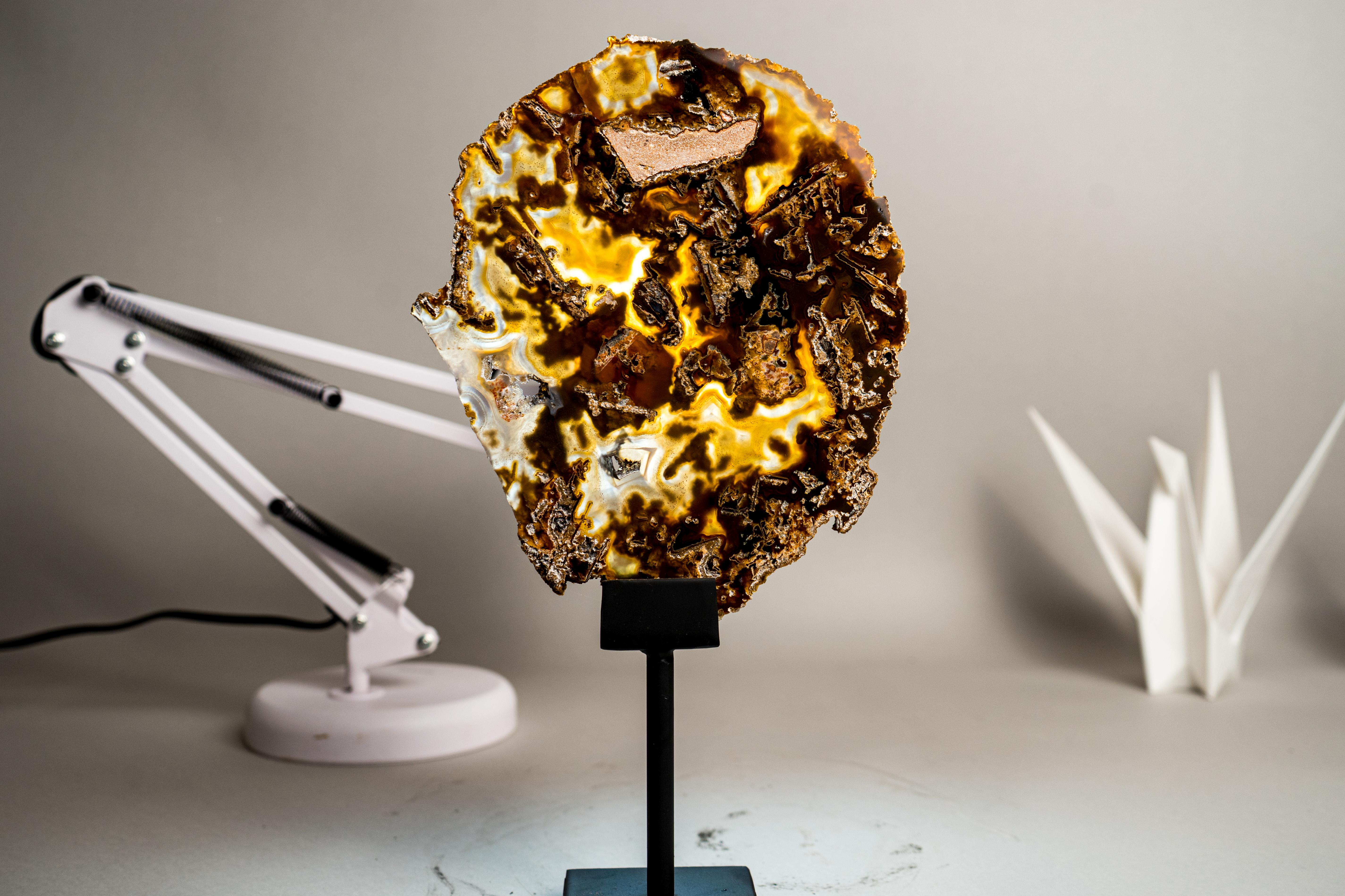 Rare Abstract Agate Slice - All-Natural Yellow, White and Black (Agate abstraite jaune, blanche et noire) en vente 1