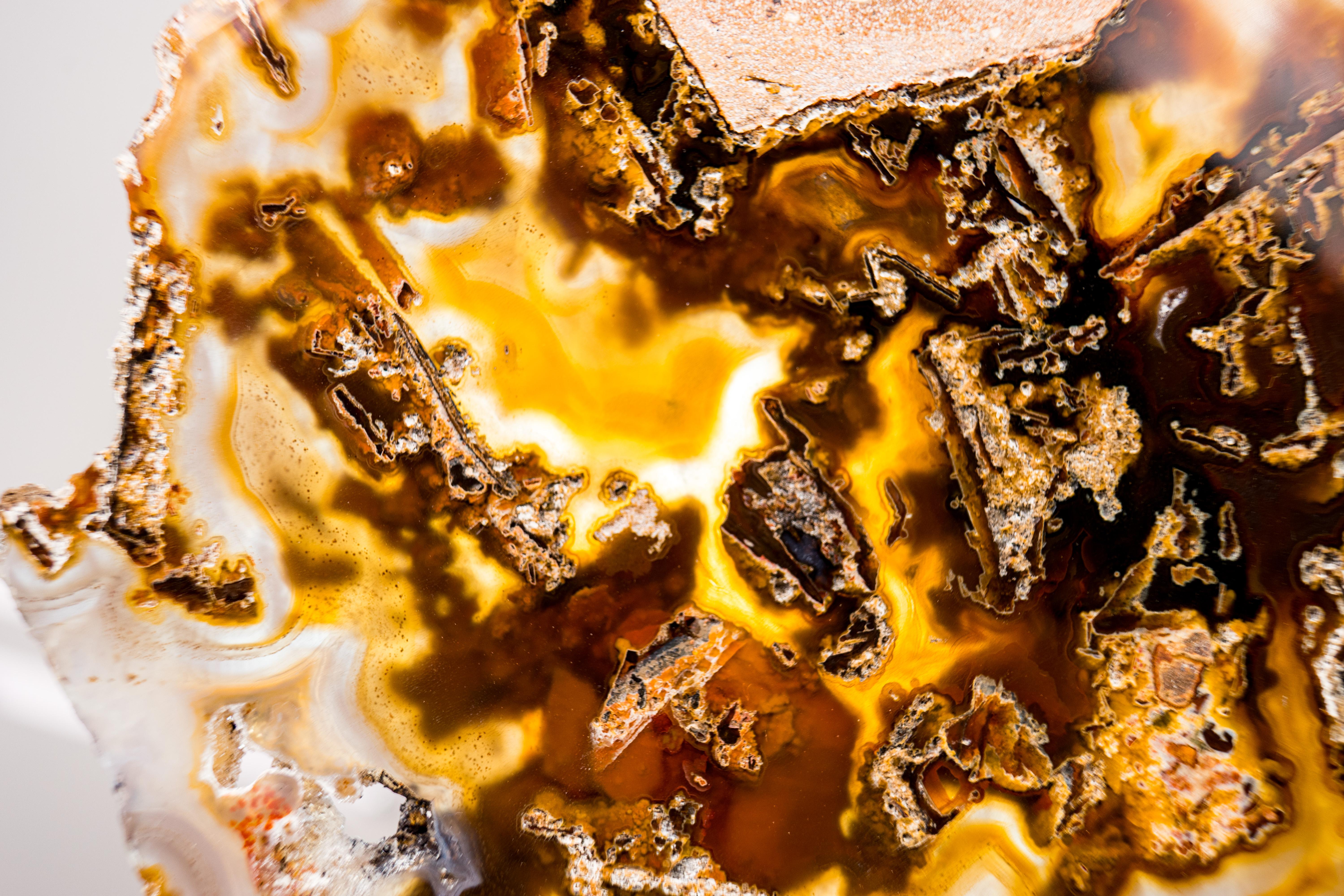 Rare Abstract Agate Slice - All-Natural Yellow, White and Black (Agate abstraite jaune, blanche et noire) en vente 2