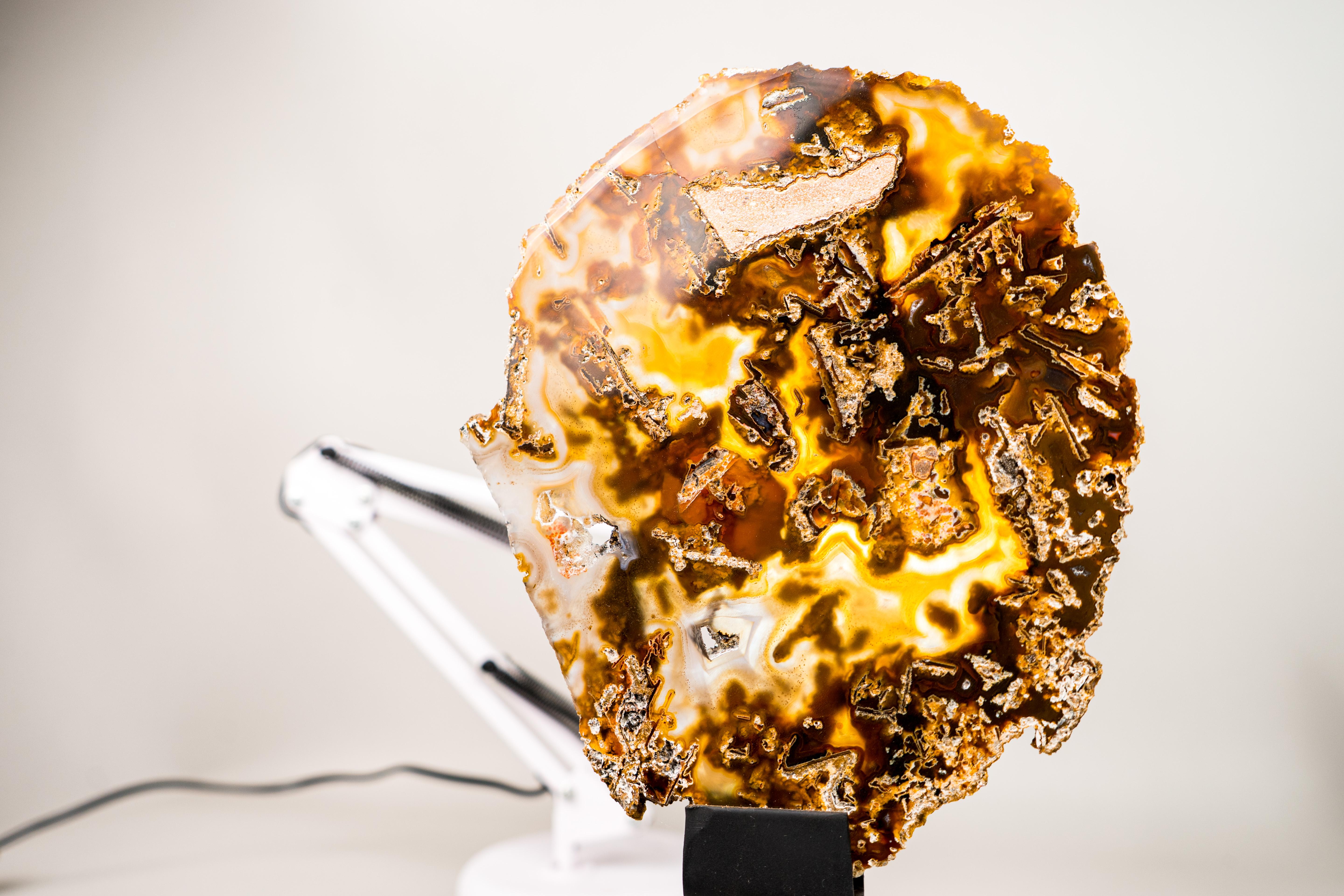 Rare Abstract Agate Slice - All-Natural Yellow, White and Black (Agate abstraite jaune, blanche et noire) en vente 3