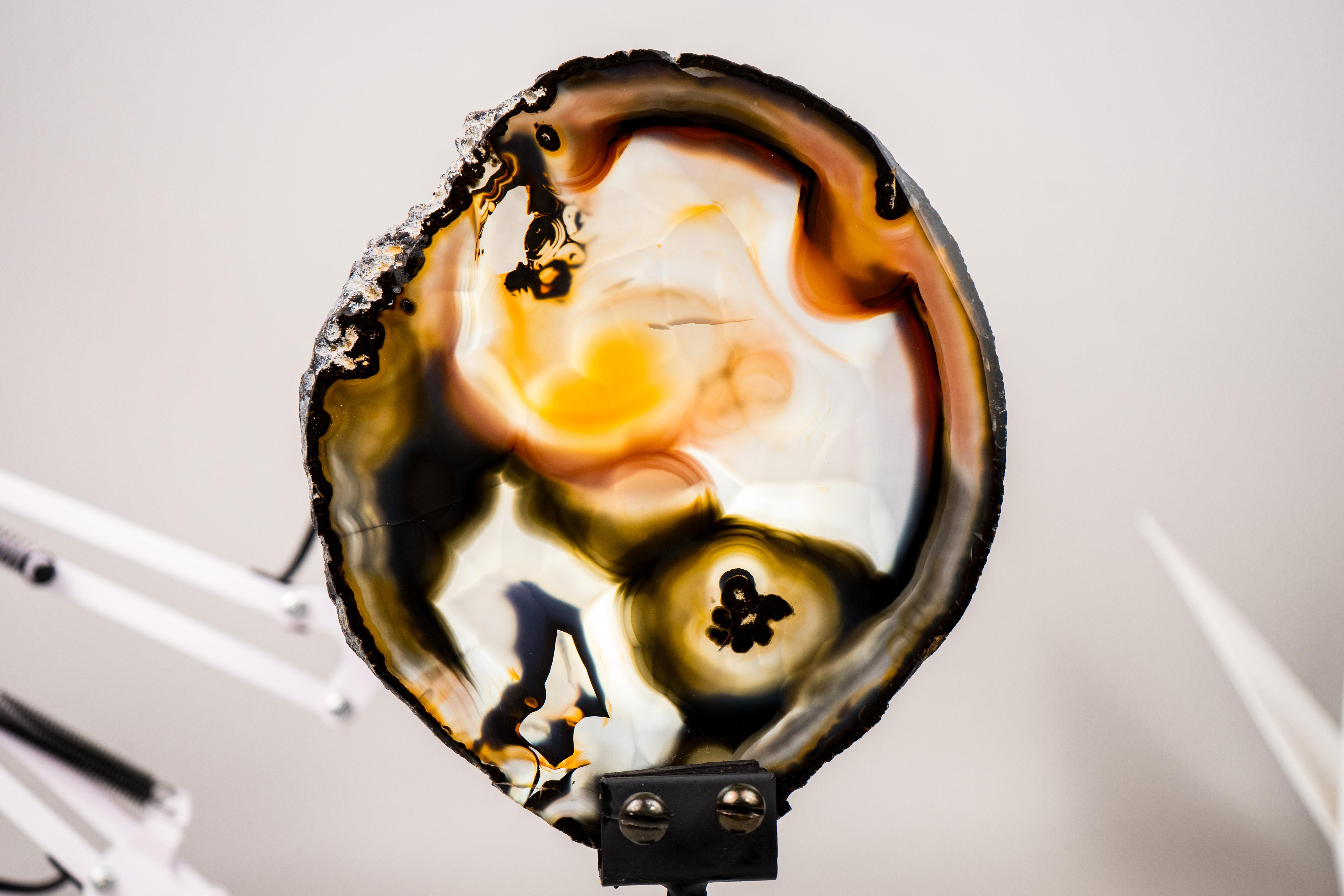 Natural Abstract Painted Agate Slice with Rare, One-Of-A-Kind Color Combination

▫️ Description

A true natural masterpiece, this agate slice displays bands in shades of yellow, black, and white, with darker accents that come together like an