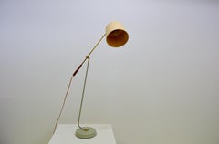 Rare Adjustable Floor Lamp with Teak and Brass Details