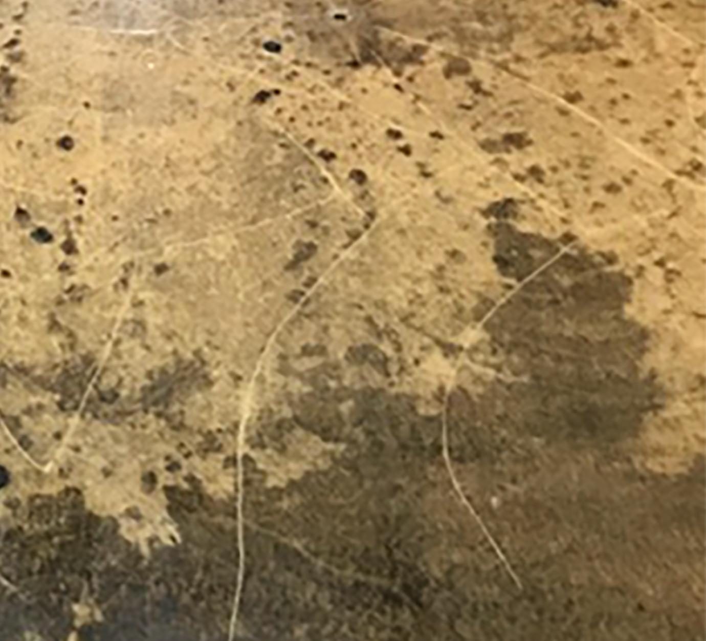 Rare Aldo Tura Goatskin Coffee Table, circa 1960 1