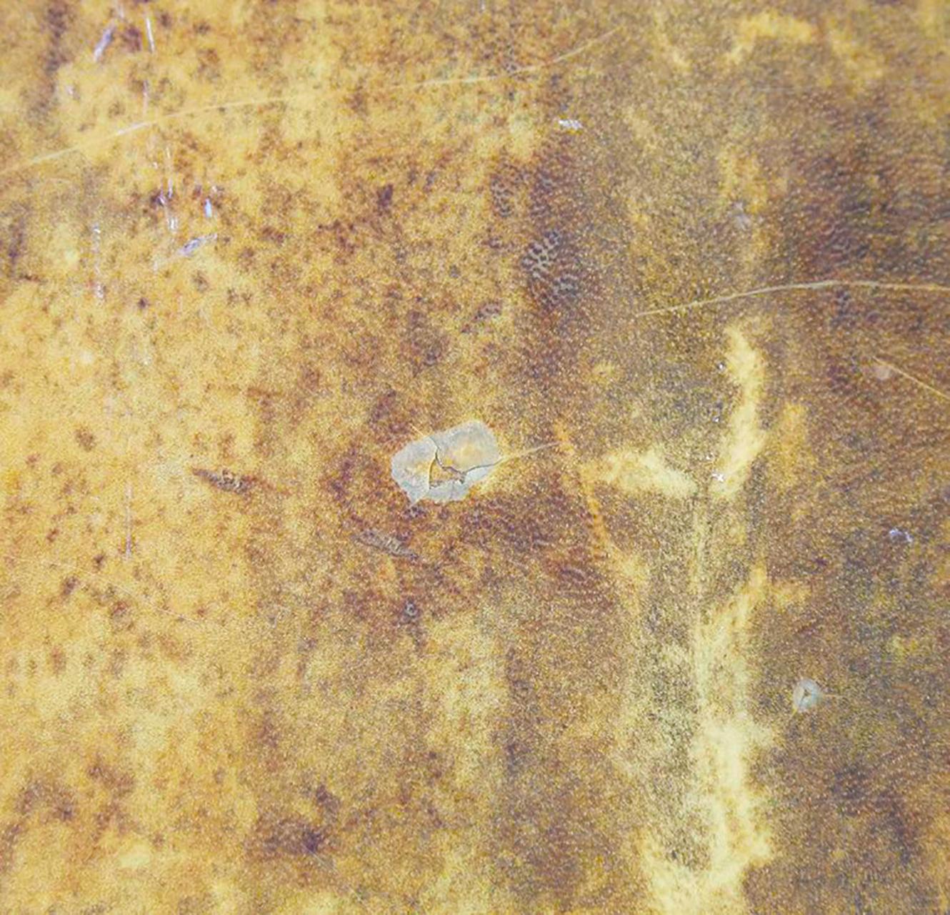 Rare Aldo Tura Goatskin Coffee Table, circa 1960 2
