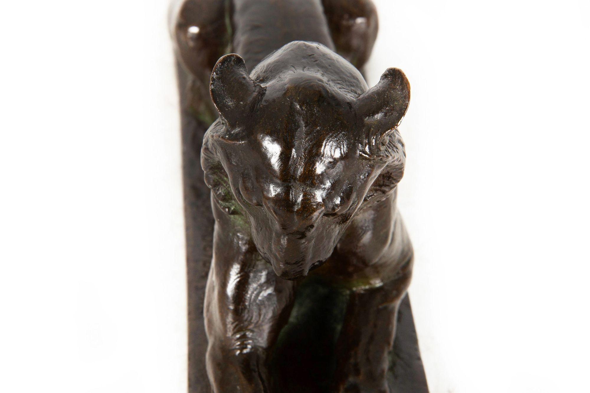 Seltene amerikanische Bronzeskulptur Princeton-Tiger von Alexander Phimister Proctor im Angebot 13