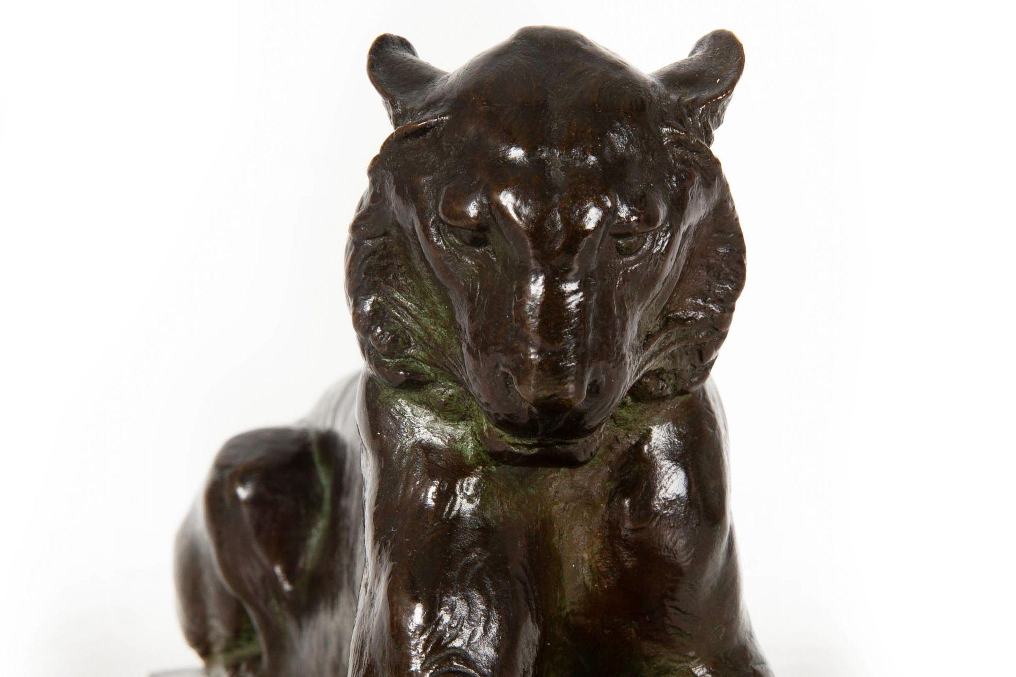 Seltene amerikanische Bronzeskulptur Princeton-Tiger von Alexander Phimister Proctor im Angebot 14
