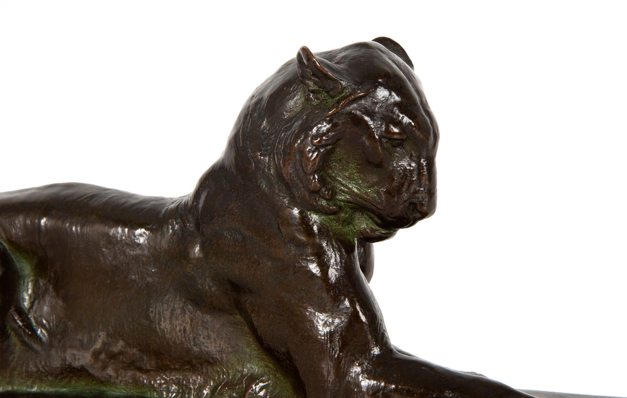 Seltene amerikanische Bronzeskulptur Princeton-Tiger von Alexander Phimister Proctor im Angebot 3