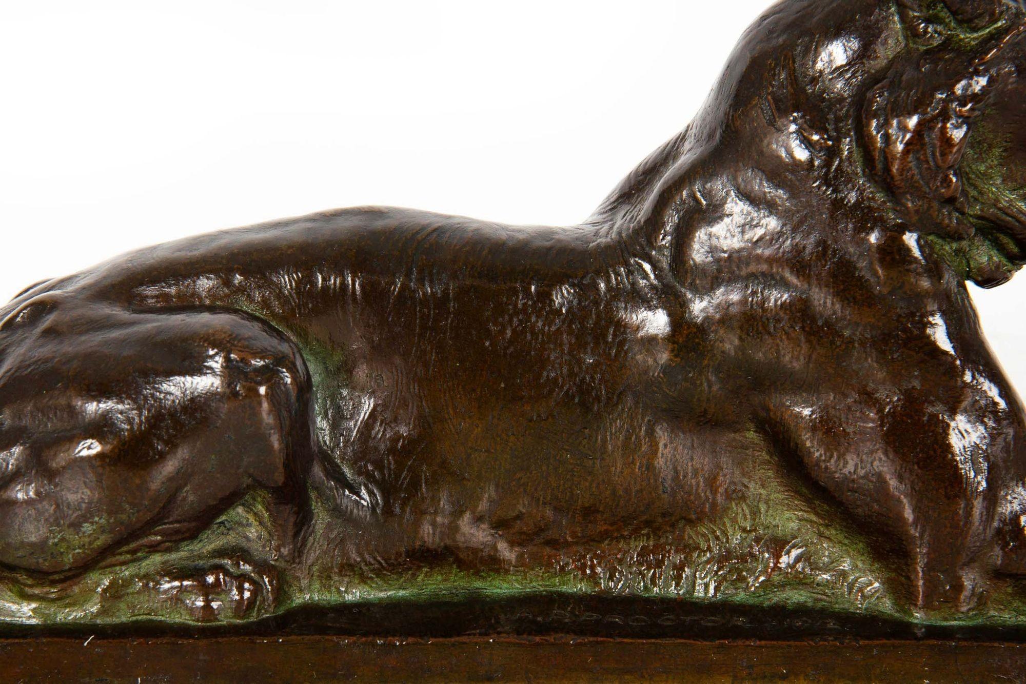 Seltene amerikanische Bronzeskulptur Princeton-Tiger von Alexander Phimister Proctor im Angebot 4