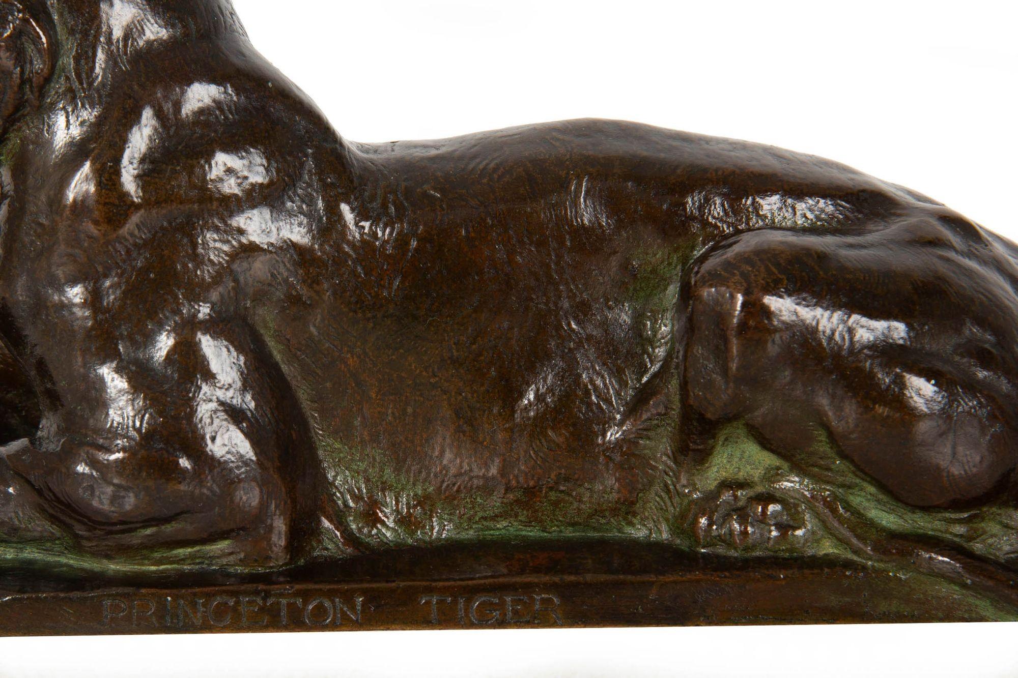 Seltene amerikanische Bronzeskulptur Princeton-Tiger von Alexander Phimister Proctor im Angebot 5