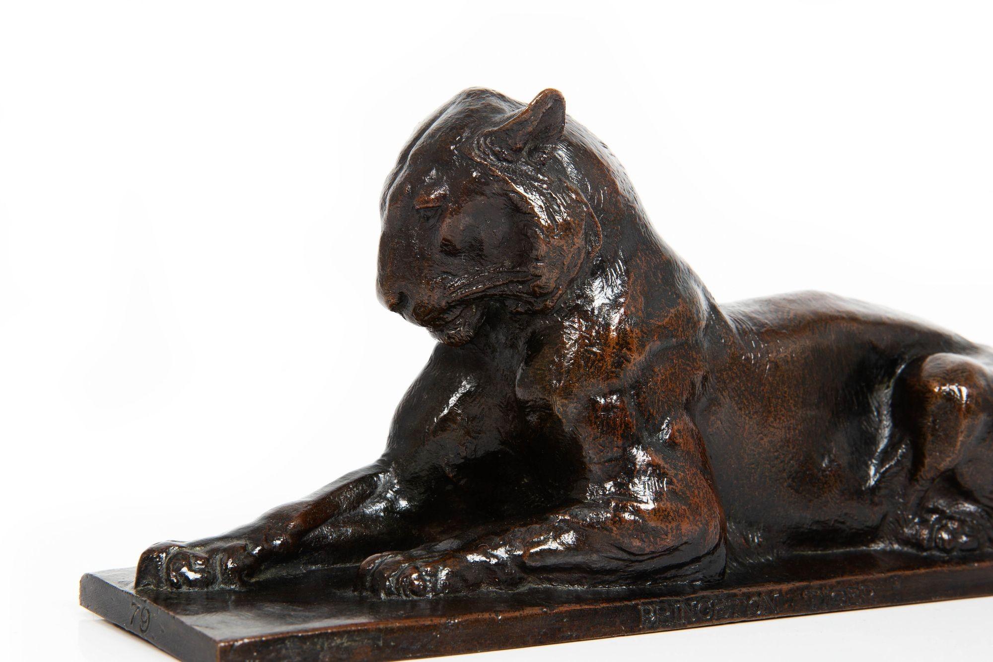 Rare sculpture américaine du tigre de Princeton par Alexander Phimister Proctor en vente 4