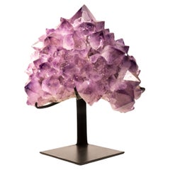Rare Amethyst Flower Cluster with Large, Lavender Purple Amethyst