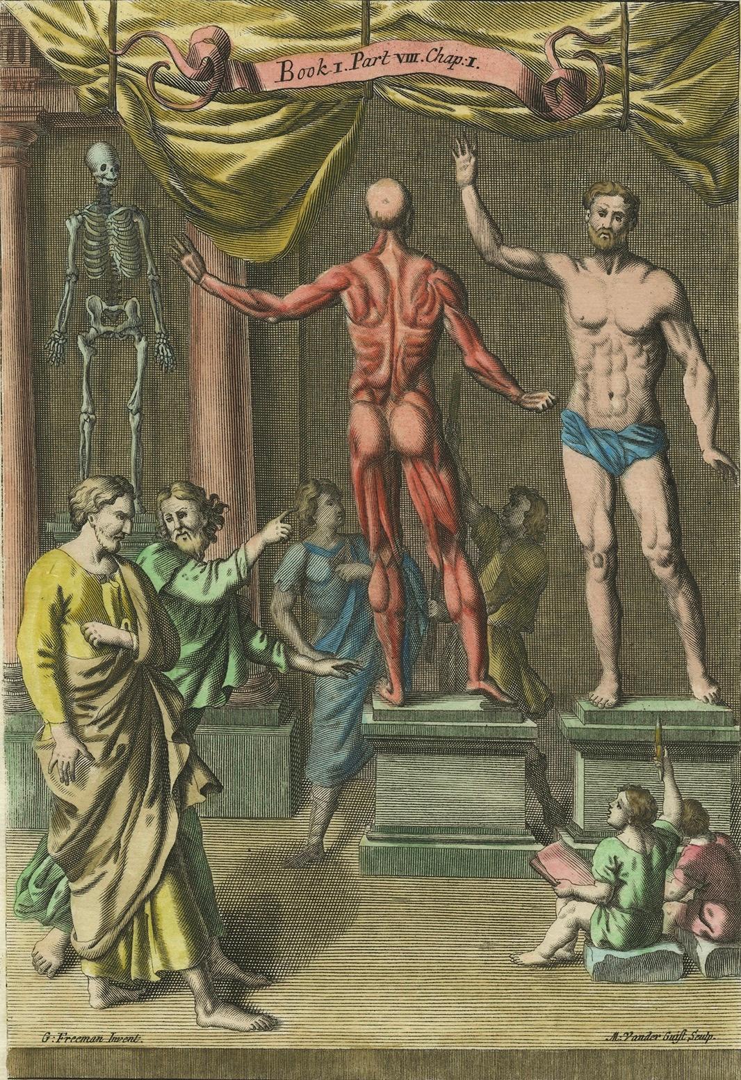 Engraved Rare Anatomy Engraving – Skeleton and Flayed Figure, Blome, 17th Century For Sale