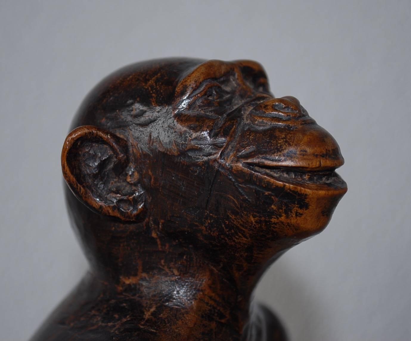chimpanzee lamp