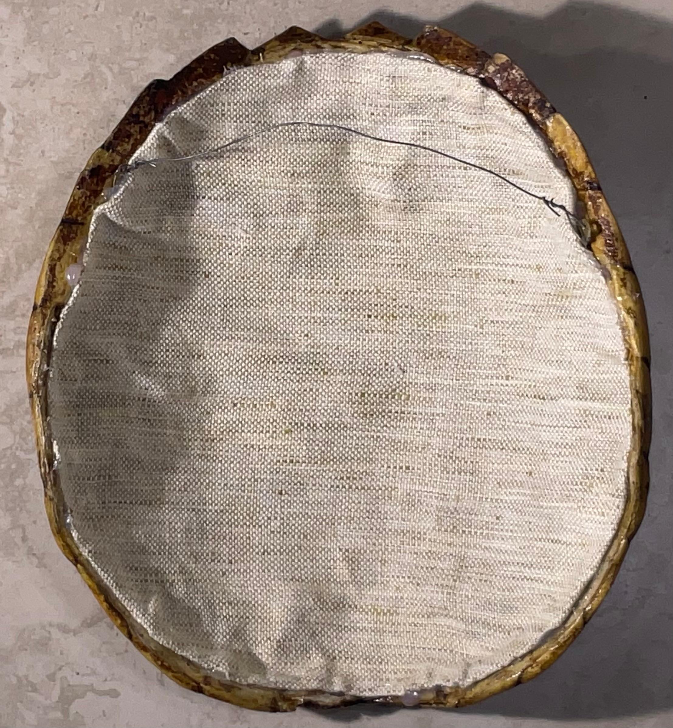Rare and Exquisite Fresh Water Turtal Shell Wall Hanging - A Natural Treasure! For Sale 4