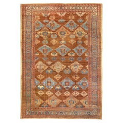 Rare and important Camel hair shield Baksaish