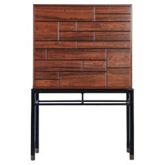 Rare and Important Jørgen Berg Cabinet, William Christensen, Denmark, 1960s