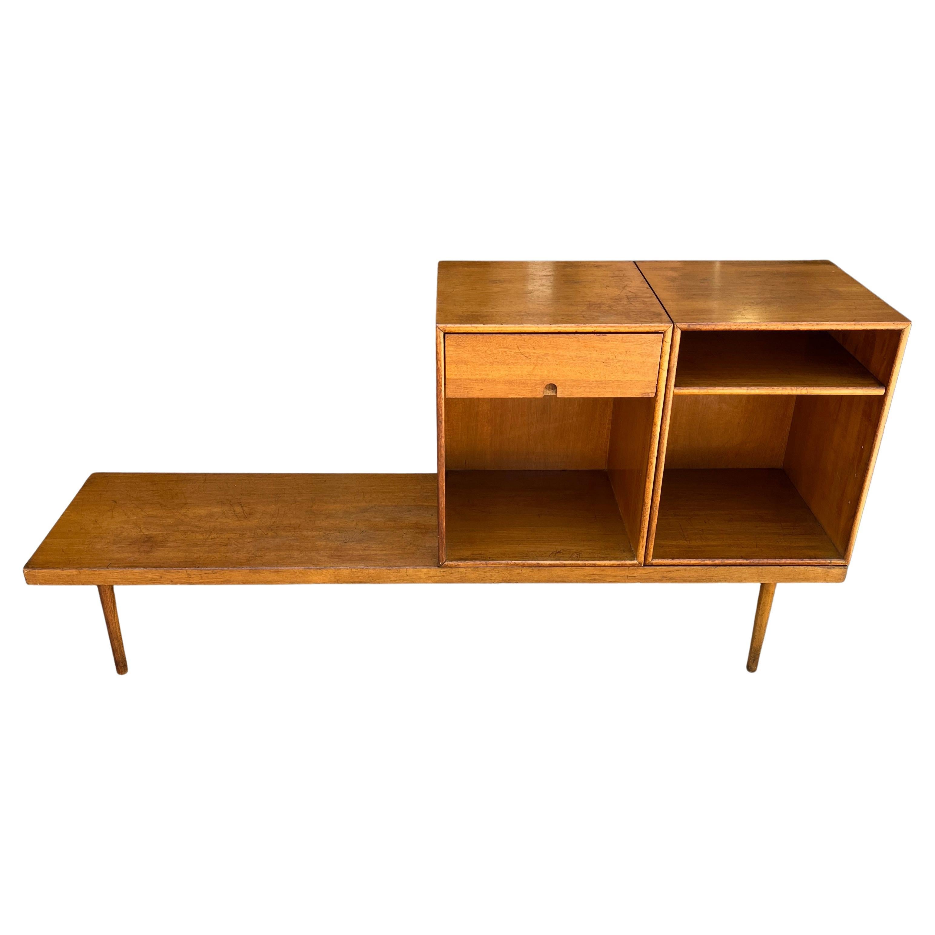 Raro e importante banco/armario de mediados de siglo- Eames y Saarinen -Diseño orgánico 1