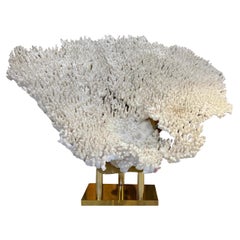 Raro e importante coral blanco sobre base de latón, Francia, hacia 1970