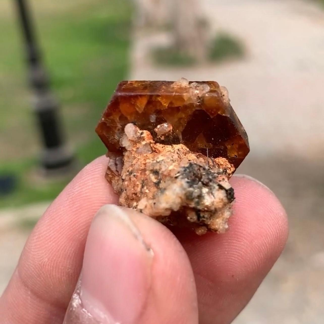 Raro e impressionante cristallo di bastnasite tabulare su Matrix dal Pakistan in vendita 3