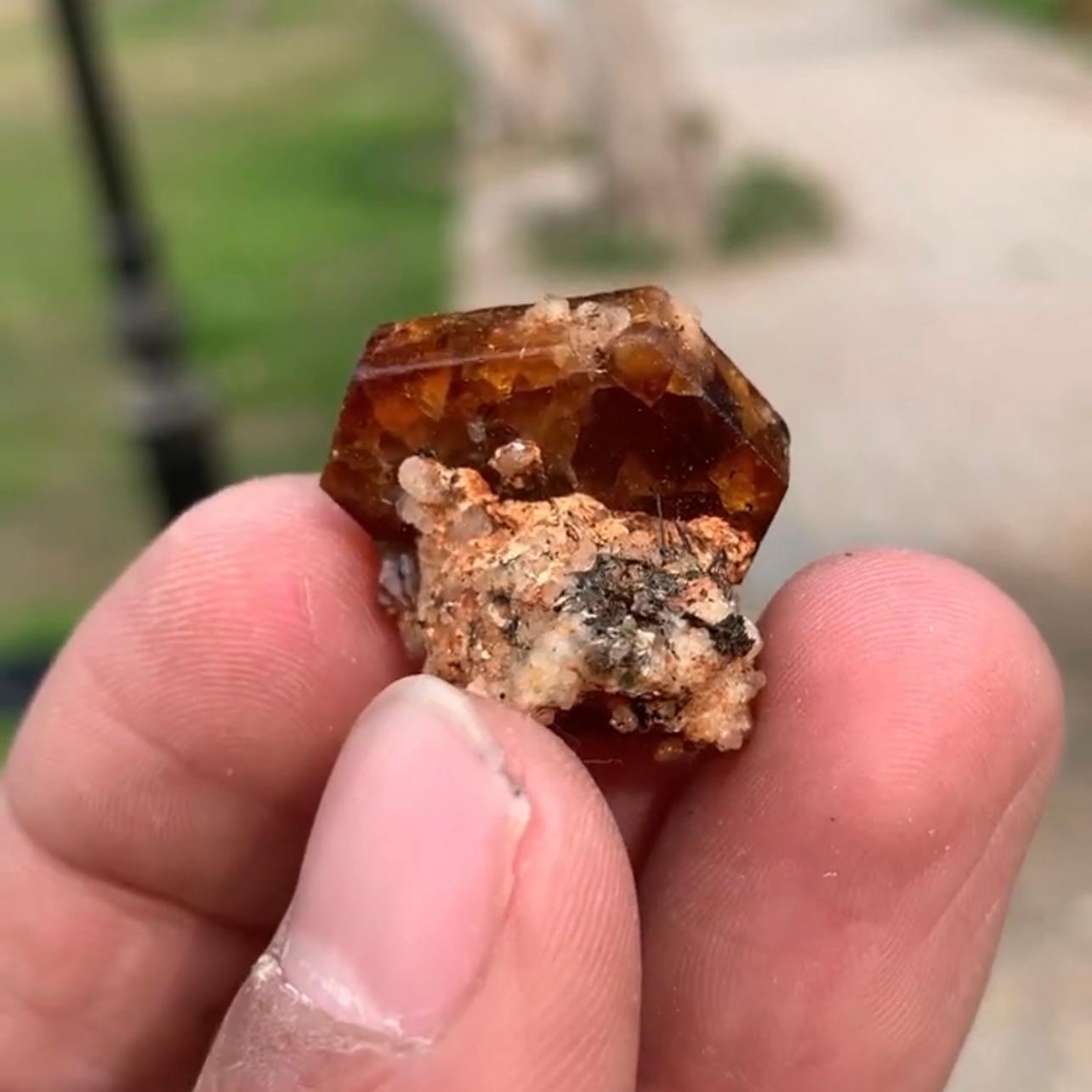 Stile Adam Raro e impressionante cristallo di bastnasite tabulare su Matrix dal Pakistan in vendita