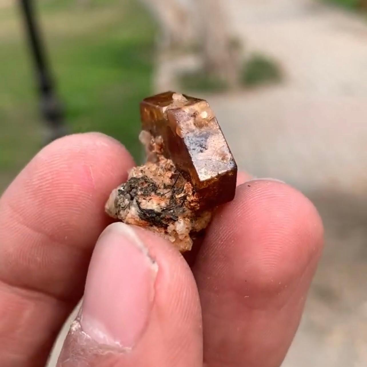 Pakistano Raro e impressionante cristallo di bastnasite tabulare su Matrix dal Pakistan in vendita