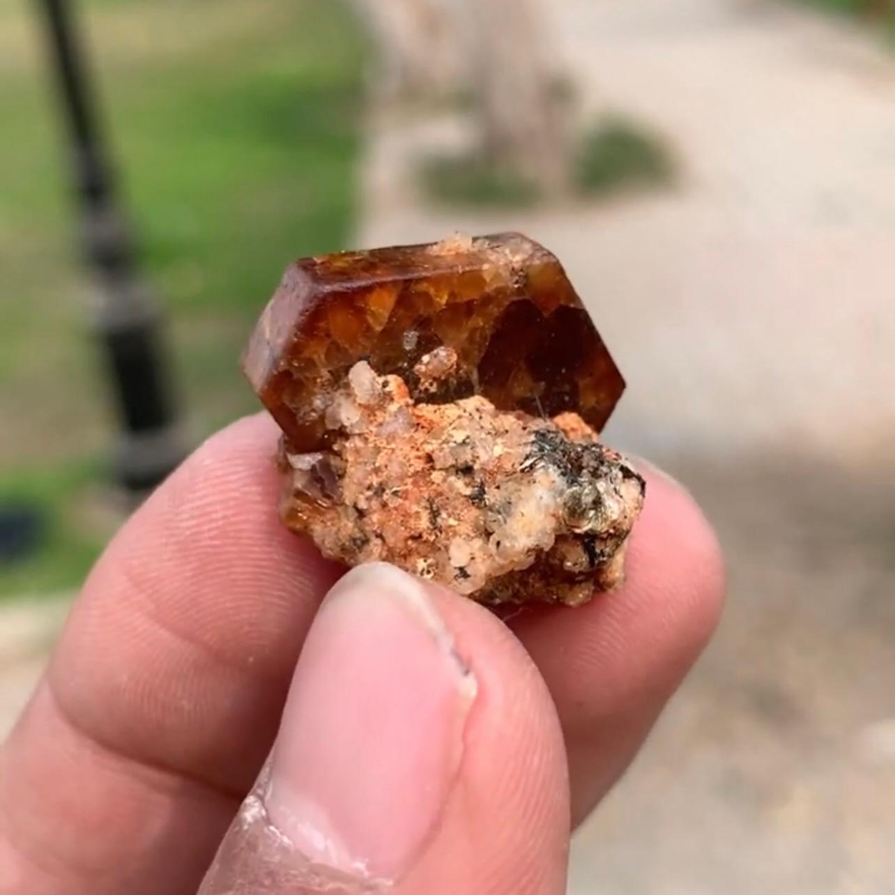 Altro Raro e impressionante cristallo di bastnasite tabulare su Matrix dal Pakistan in vendita
