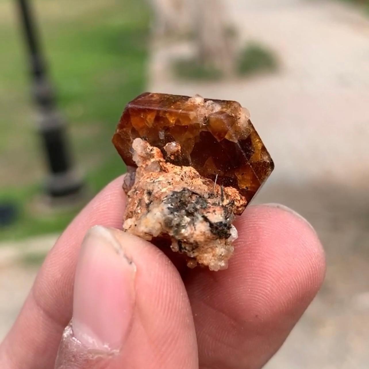 Raro e impressionante cristallo di bastnasite tabulare su Matrix dal Pakistan in vendita 2