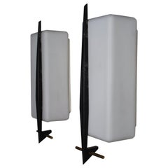 rare and sexy pair of French mid century outdoor/indoorsconces
