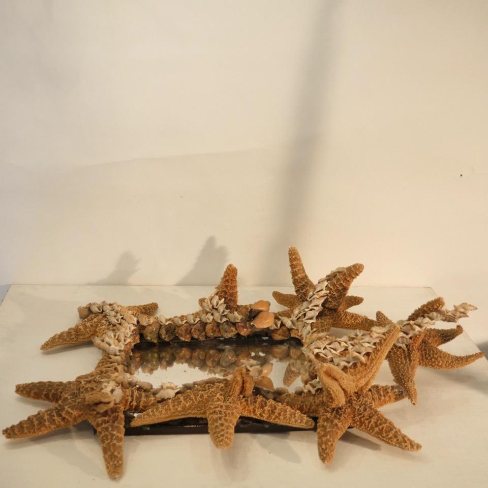 Rare and Unusual Composition, Mirror Decorated with Starfishes and Shells, 1950 In Good Condition In Saint-Ouen, FR