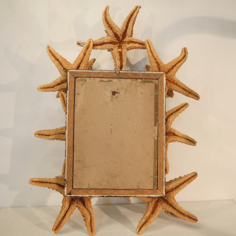 Rare and Unusual Composition, Mirror Decorated with Starfishes and Shells, 1950 1